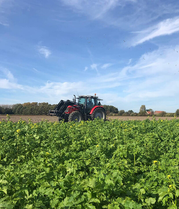 Koolstof vastleggen middels Carbon Farming