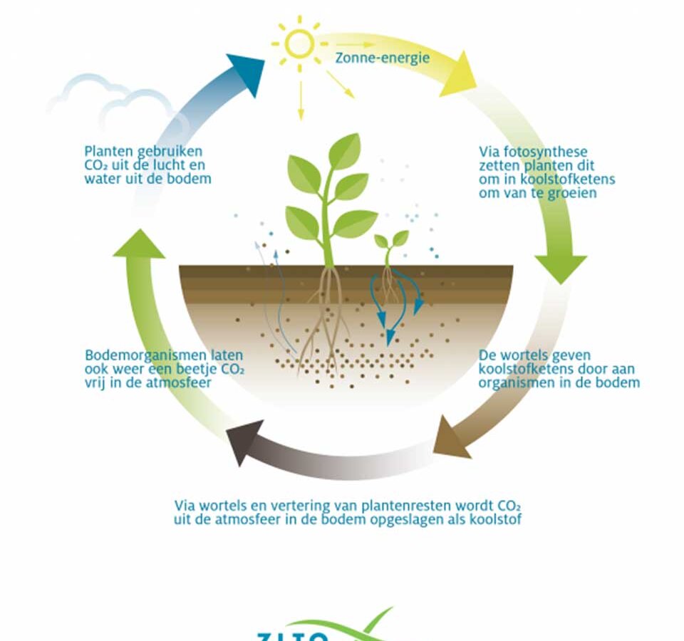 ZLTO Carbon Farming