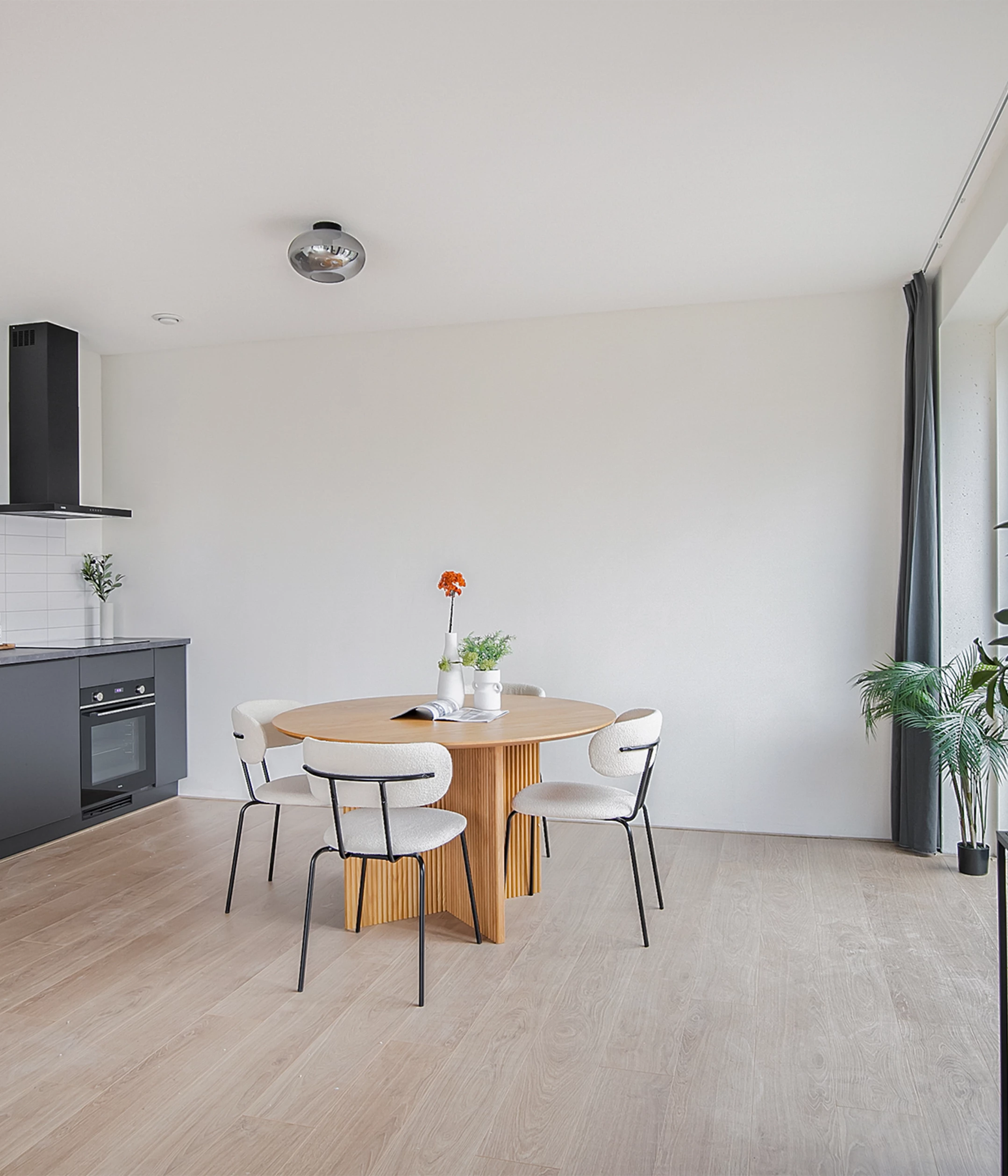 Project Lindewijck Penthouse