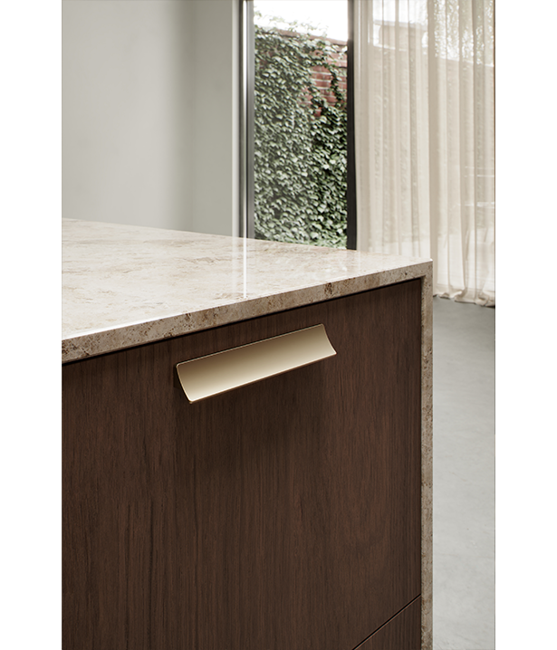 Handle with gold finish