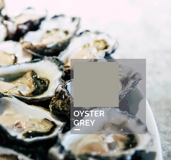 oyster grey