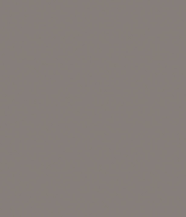 Fossil grey
