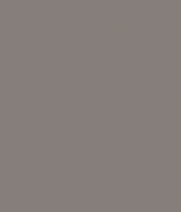 Fossil grey
