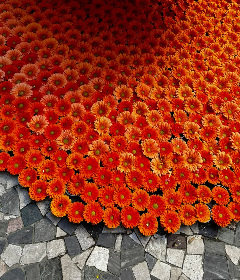Warm oranje