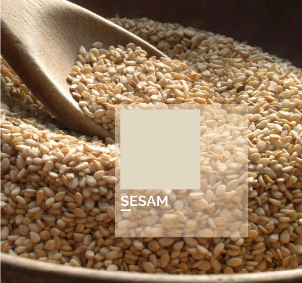 sesame (inside cabinet)